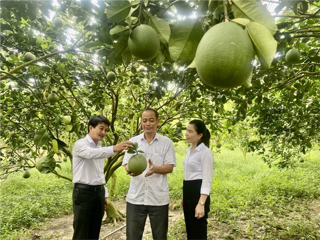 Phát triển nông nghiệp thông minh thích ứng biến đổi khí hậu (10/10/2022)